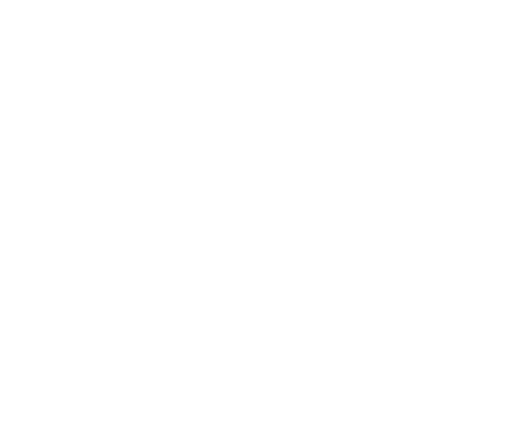 Iconic Design Haus